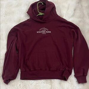 Hollister Burgundy Hoodie Sweater